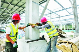 白云農(nóng)創(chuàng)共享農(nóng)副產(chǎn)品批發(fā)中心預(yù)計(jì)年底投用，建筑施工進(jìn)展順利